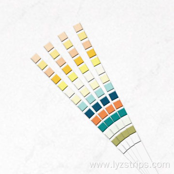 visual urinalysis urine reagent test strips URS 10T